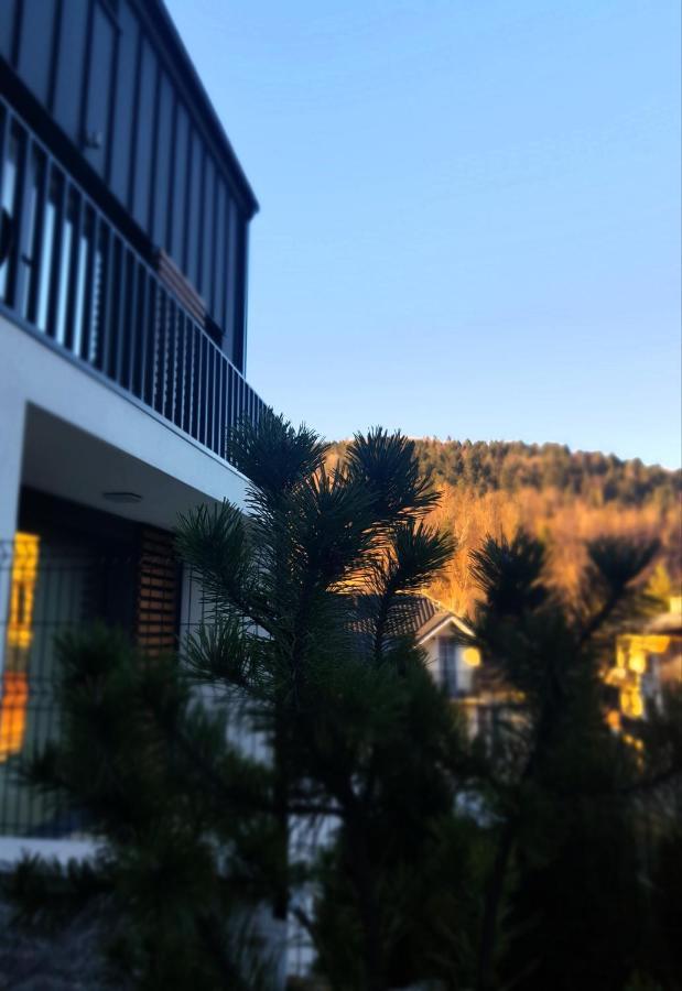 Apartament "Oldmountain" Olimpijska 1C 1 Щирк Экстерьер фото